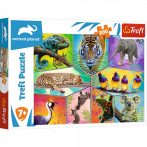 Állatok világa - Puzzle 200 db Trefl
