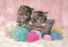 Sweet Kittens - 104 db-os puzzle - Clementoni
