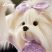 Lucky Doggy Mimi plüss kutya lila ruhában Orange Toys