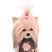 Lucky Yoyo Tea Rose öltöztethető plüss kutya beállítható végtagokkal Orange Toys