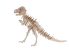 3D Fapuzzle dínók - Tyrannosaurus