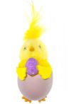 Húsvéti dekoráció csibe tojáshéjban - lila
