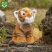 Plüss tigris 15 cm - környezetbarát